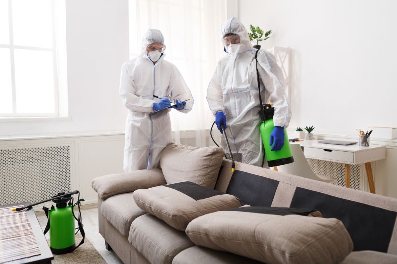 Bed Bugs Extermination