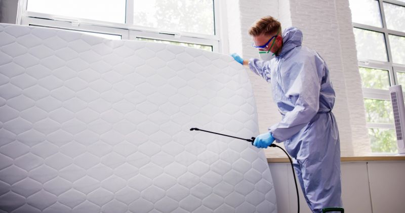 Cost of Bed Bugs Extermination — Cost of Bed Bugs Extermination