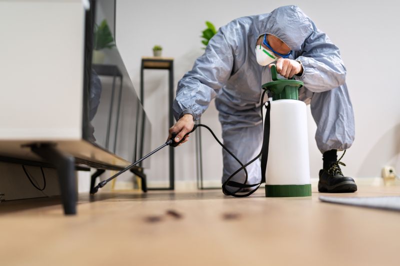 Fumigation Service in Coeur D Alene, ID