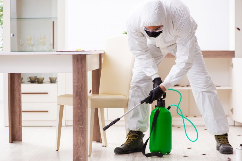 Commercial Pest Solutions