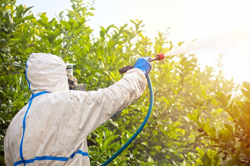 Spider Fumigation Service in Fayetteville, NC