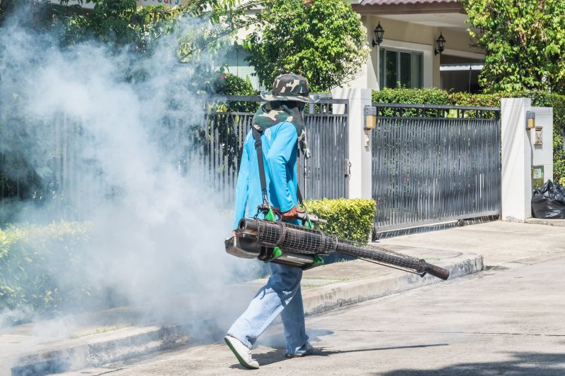 Spider Fumigation Service in Fort Myers, FL