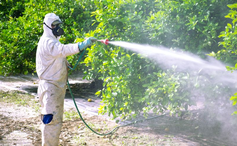 Pest Fumigation Service in Fort Collins, CO